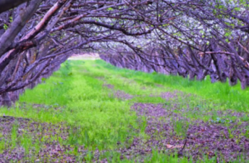 Звездната магия на последния ден на април: Вашият пътеводител за 30 април 2026 г.